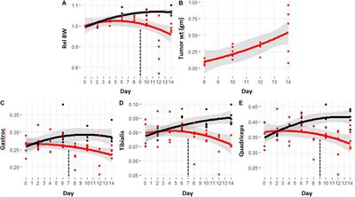 Metabolic Biomarkers for the Early Detection of Cancer Cachexia